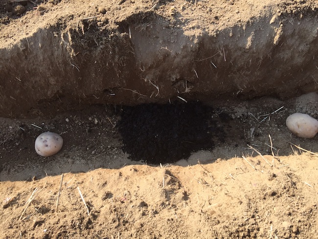 f:id:sk6960:20170312164159j:plain