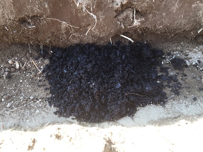 f:id:sk6960:20170312164200j:plain