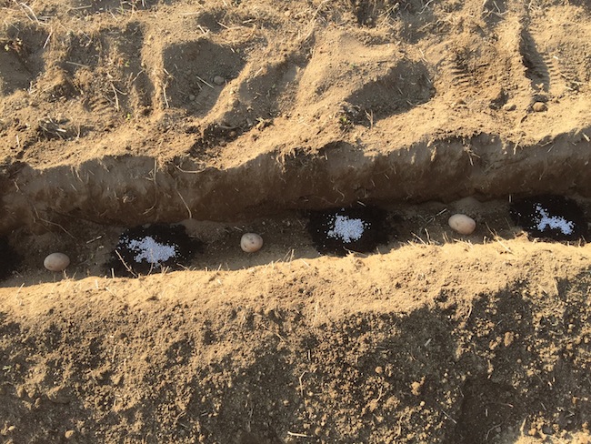 f:id:sk6960:20170312164201j:plain