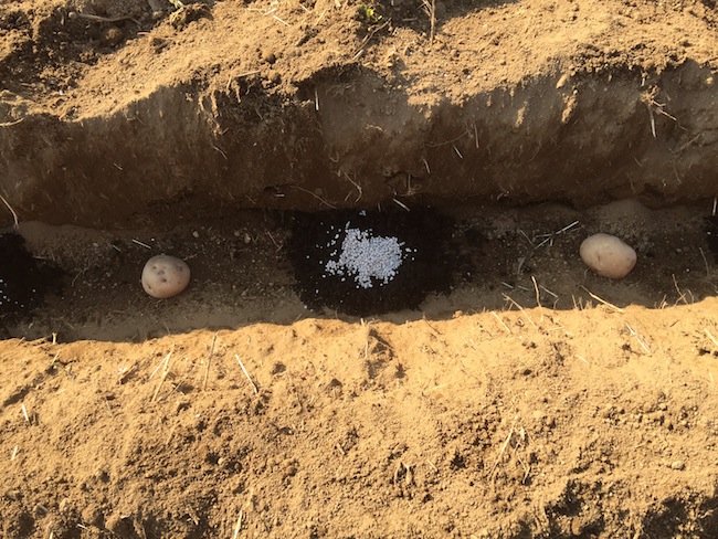 f:id:sk6960:20170312164202j:plain