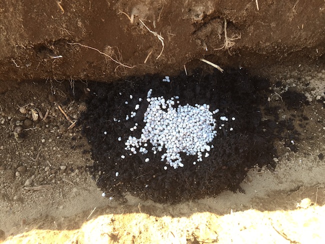 f:id:sk6960:20170312164203j:plain