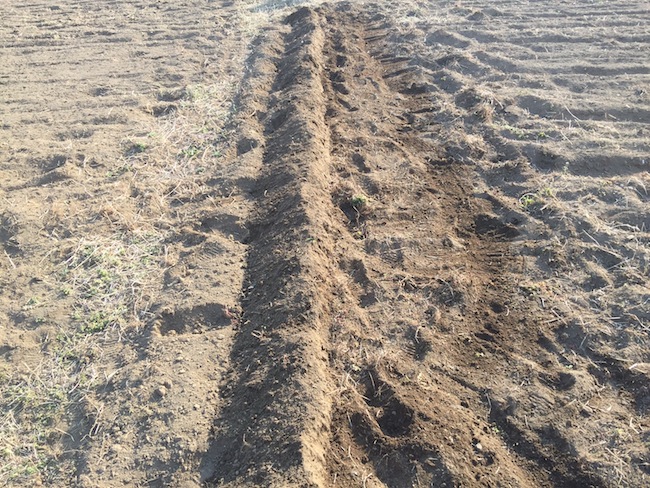 f:id:sk6960:20170312164204j:plain