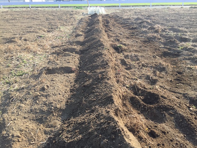 f:id:sk6960:20170312164206j:plain