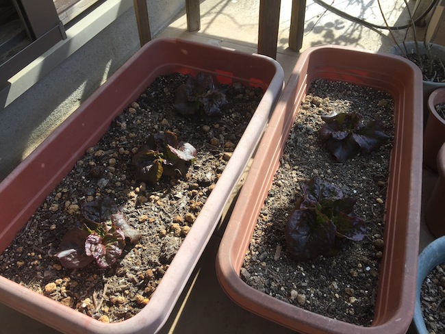 f:id:sk6960:20170326151357j:plain