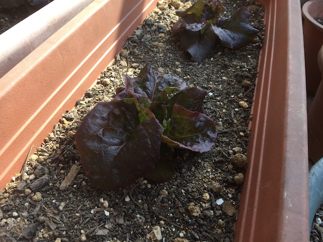 f:id:sk6960:20170326151358j:plain