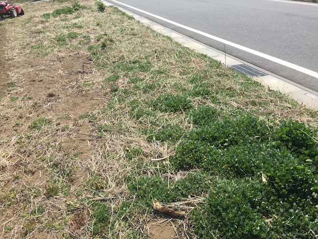 f:id:sk6960:20170326151404j:plain