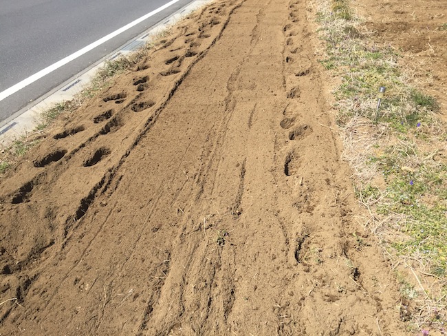 f:id:sk6960:20170326151410j:plain