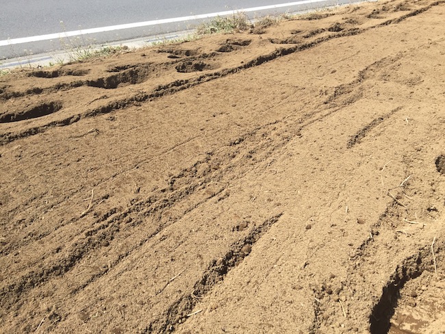 f:id:sk6960:20170326151412j:plain