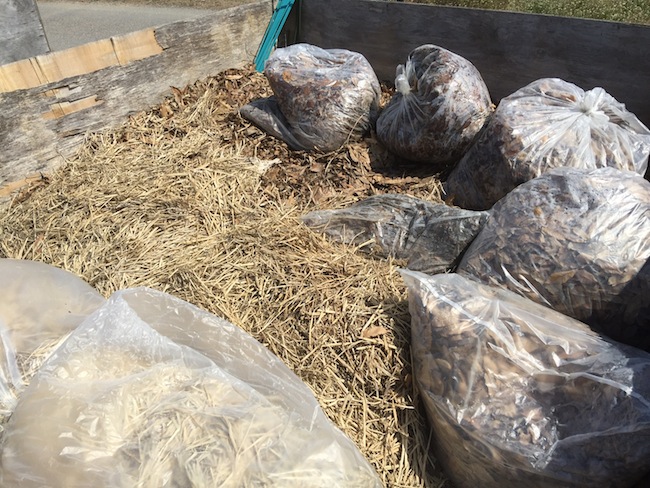 f:id:sk6960:20170326151414j:plain