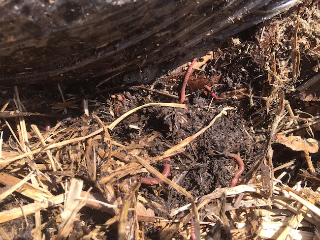 f:id:sk6960:20170326151415j:plain