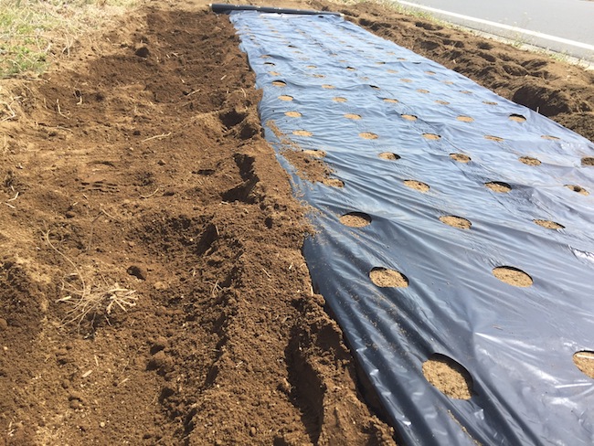 f:id:sk6960:20170326151419j:plain