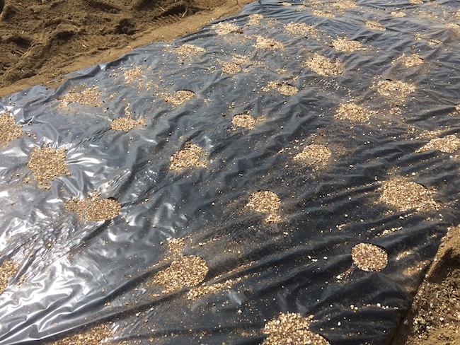 f:id:sk6960:20170326151425j:plain