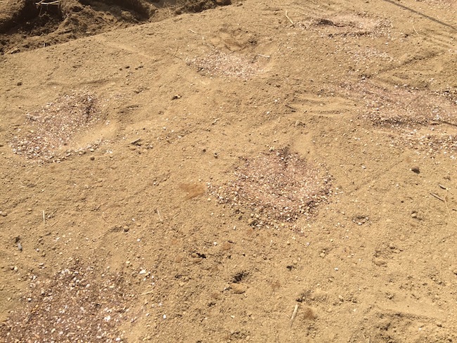 f:id:sk6960:20170326151427j:plain