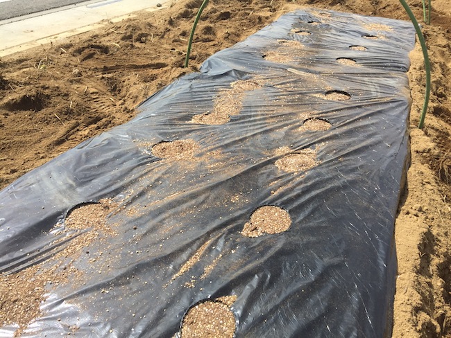 f:id:sk6960:20170326151428j:plain