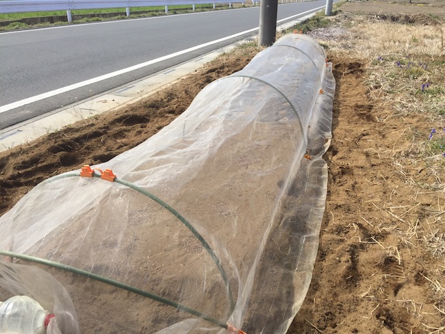 f:id:sk6960:20170326151429j:plain