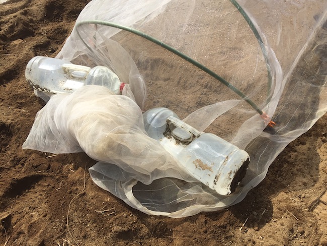 f:id:sk6960:20170326151430j:plain