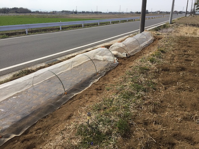 f:id:sk6960:20170326151437j:plain