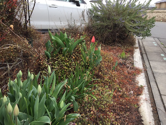 f:id:sk6960:20170401152820j:plain