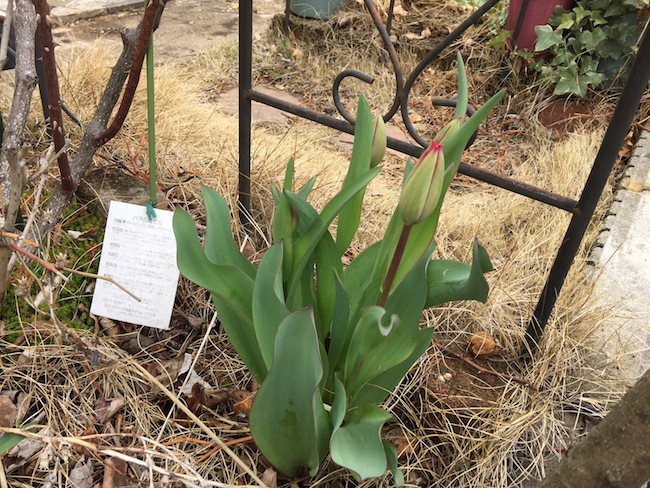 f:id:sk6960:20170401152822j:plain