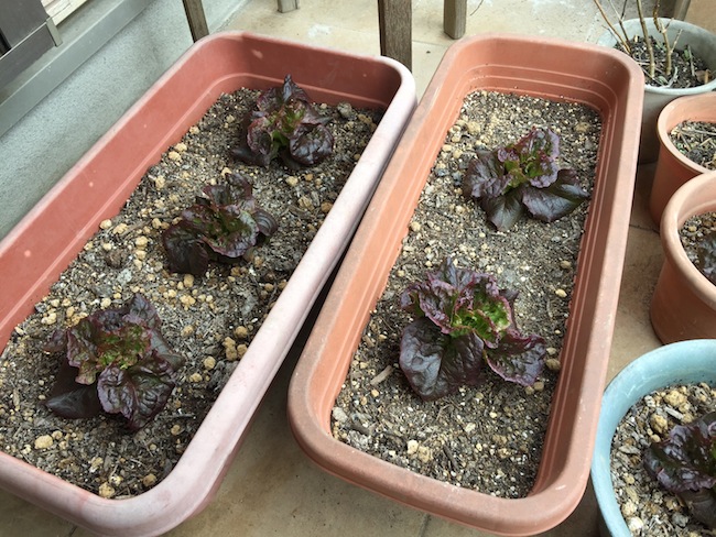 f:id:sk6960:20170401152824j:plain