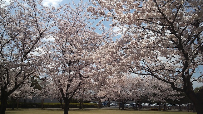 f:id:sk6960:20170402091237j:plain