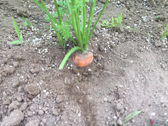 f:id:sk6960:20170625141533j:plain