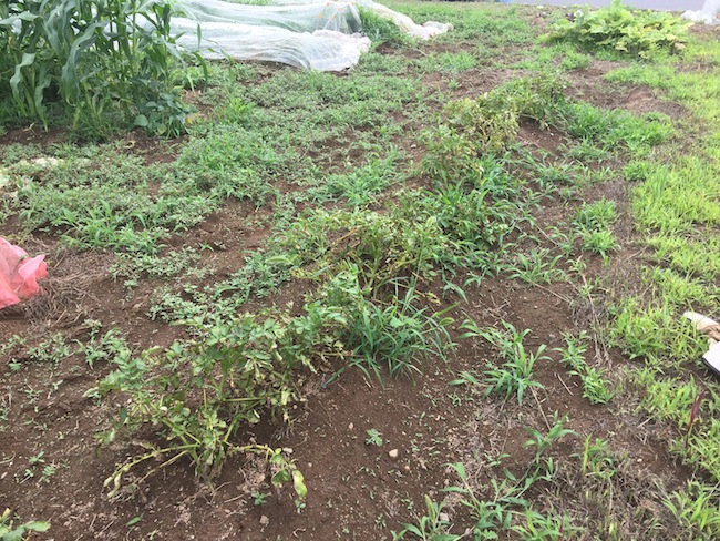 f:id:sk6960:20170702160314j:plain