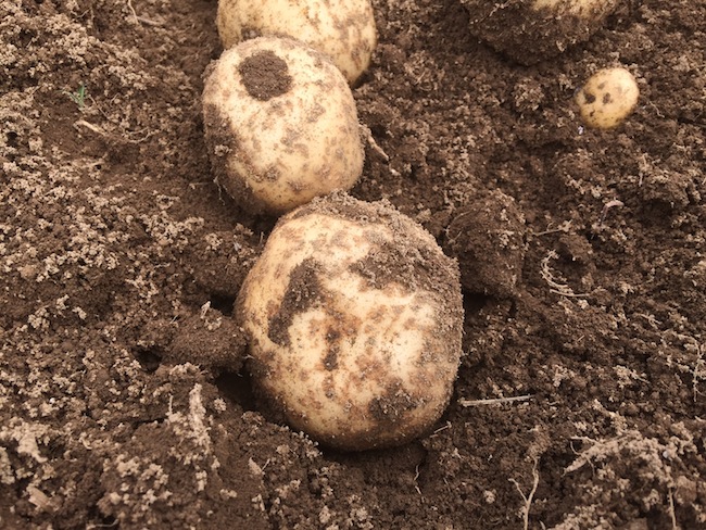 f:id:sk6960:20170702160318j:plain