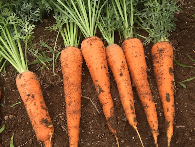 f:id:sk6960:20170702160330j:plain