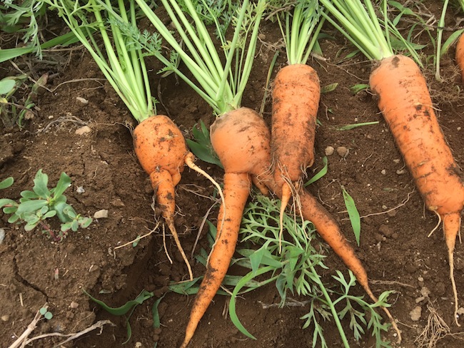 f:id:sk6960:20170702160332j:plain