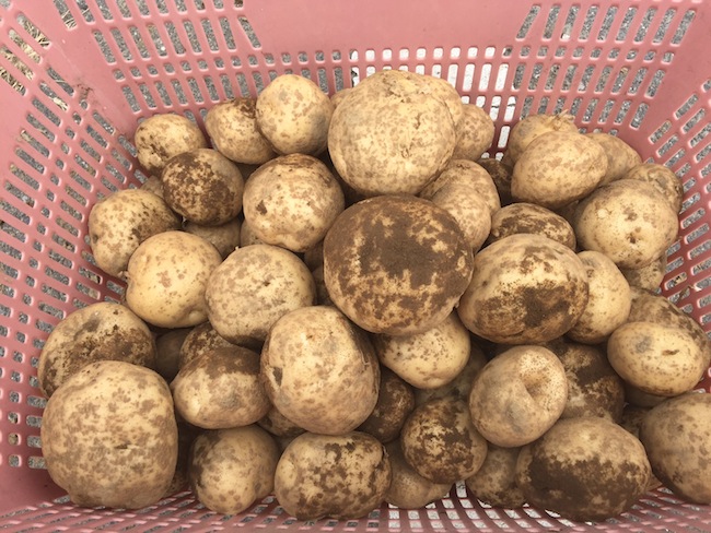 f:id:sk6960:20170702160334j:plain