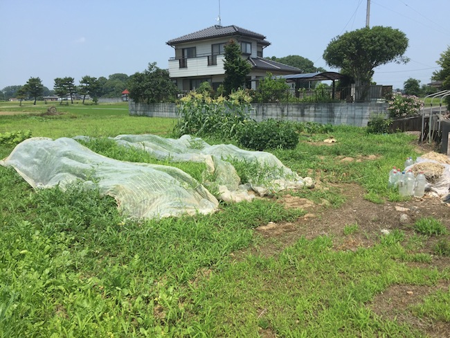 f:id:sk6960:20170708151821j:plain