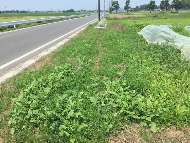 f:id:sk6960:20170708151822j:plain