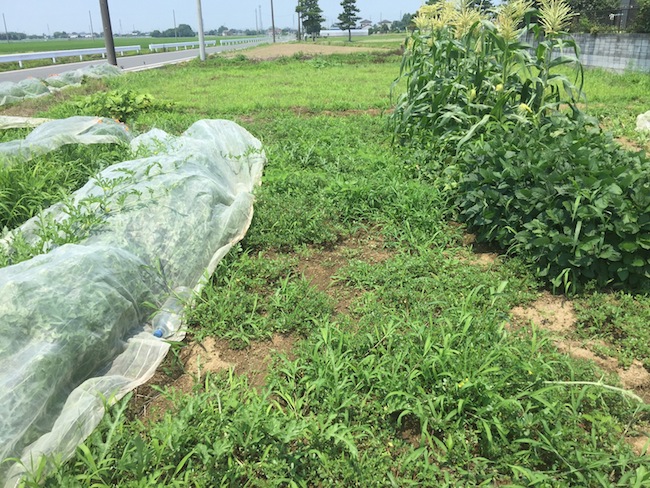 f:id:sk6960:20170708151824j:plain