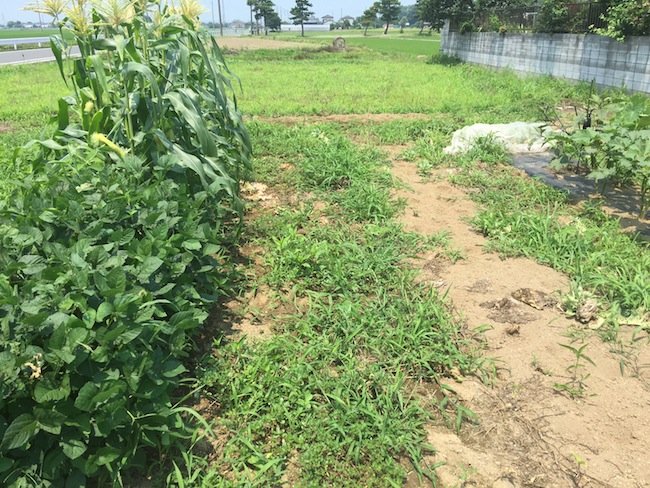 f:id:sk6960:20170708151825j:plain