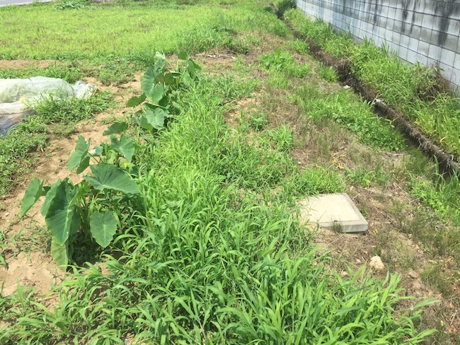 f:id:sk6960:20170708151826j:plain