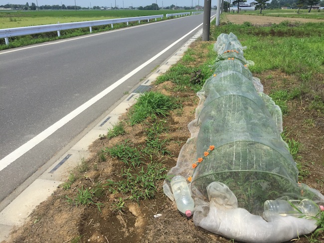 f:id:sk6960:20170708151828j:plain