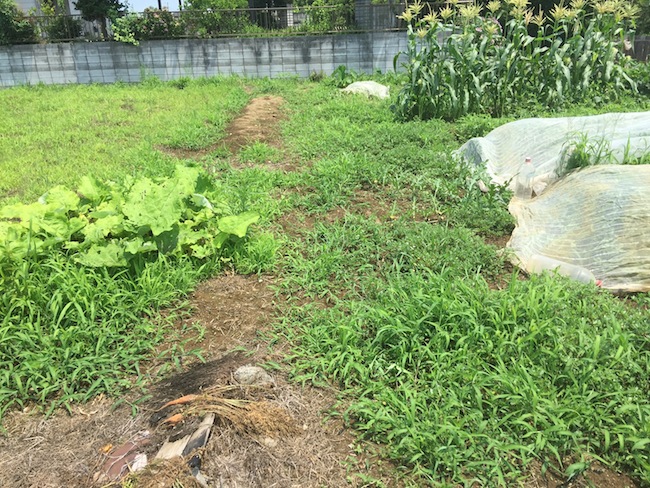 f:id:sk6960:20170708151829j:plain