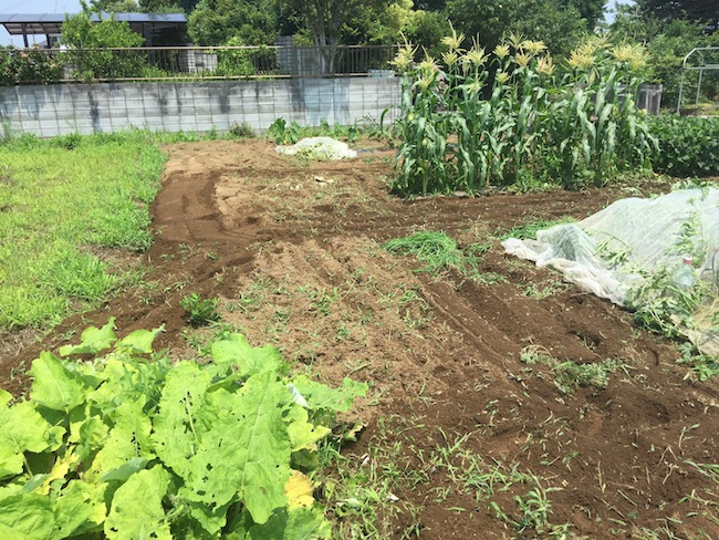 f:id:sk6960:20170708151831j:plain