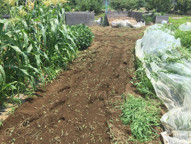 f:id:sk6960:20170708151832j:plain