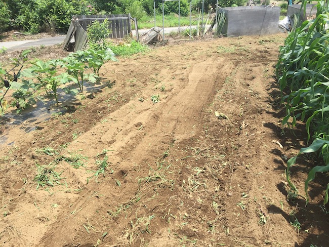 f:id:sk6960:20170708151833j:plain