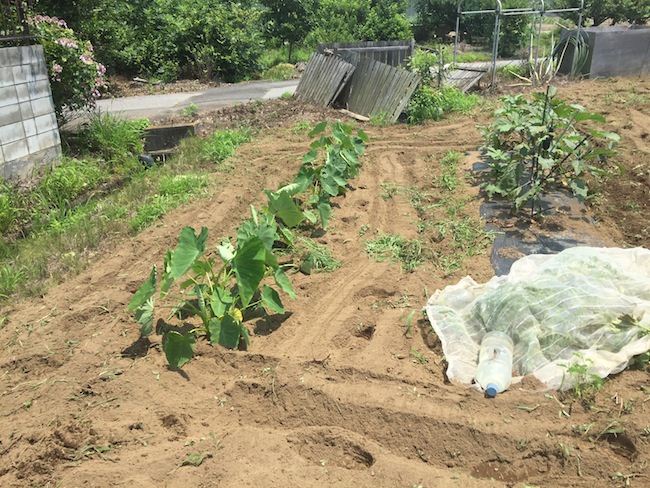 f:id:sk6960:20170708151834j:plain