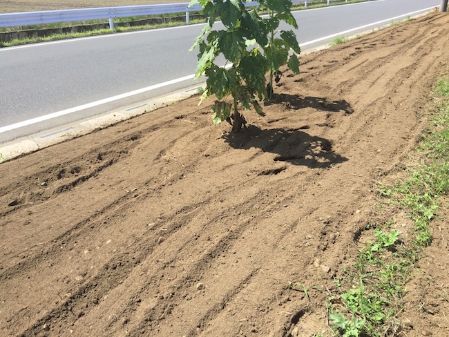 f:id:sk6960:20170903181207j:plain