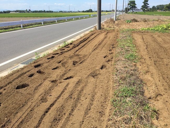 f:id:sk6960:20170903181209j:plain