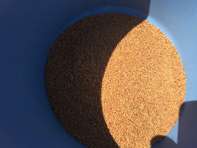 f:id:sk6960:20170903181216j:plain