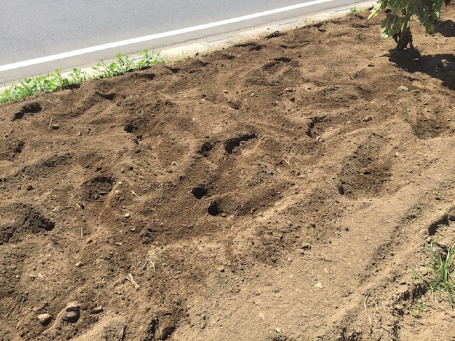 f:id:sk6960:20170903181217j:plain