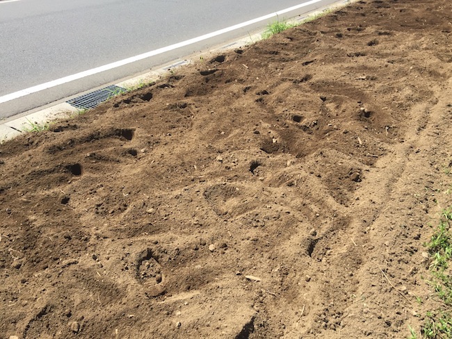 f:id:sk6960:20170903181218j:plain