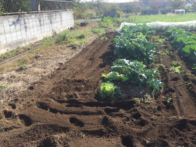 f:id:sk6960:20171105142317j:plain