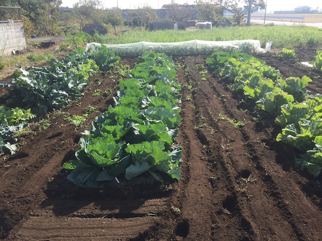 f:id:sk6960:20171105142318j:plain