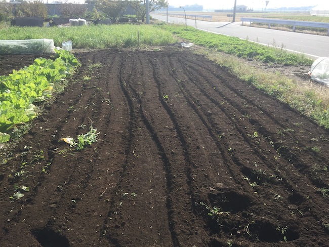 f:id:sk6960:20171105142320j:plain